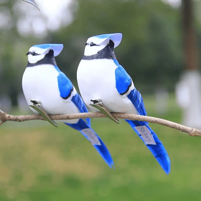 2 pièces d'Oiseaux en mousse Déco Réalistes de Geai Bleu avec Plumes 