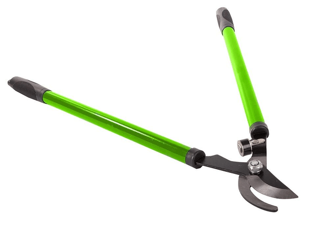 Cisailles de jardin manuelles pour branches