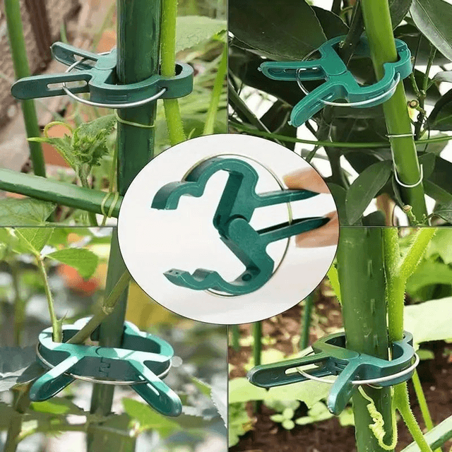 10 attaches réutilisables pour plantes vertes 