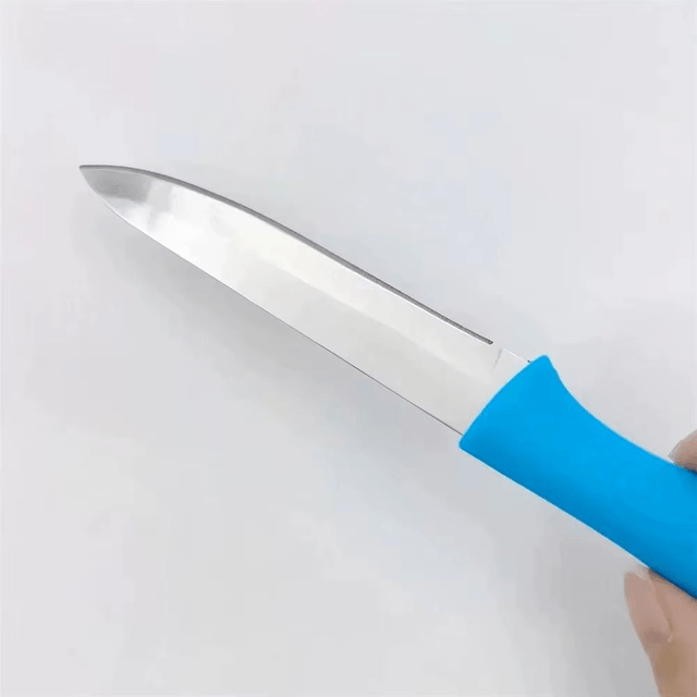 Couteaux d'office en acier inoxydable, 3 pièces Manche ABS