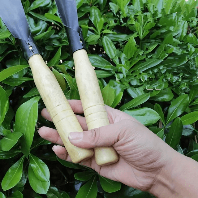Lot de 2 pelles en métal pour le jardinage, le désherbage,