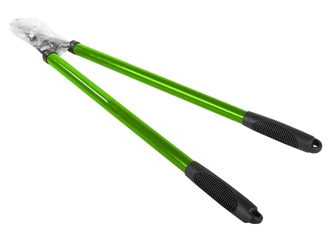 Cisailles de jardin manuelles pour branches