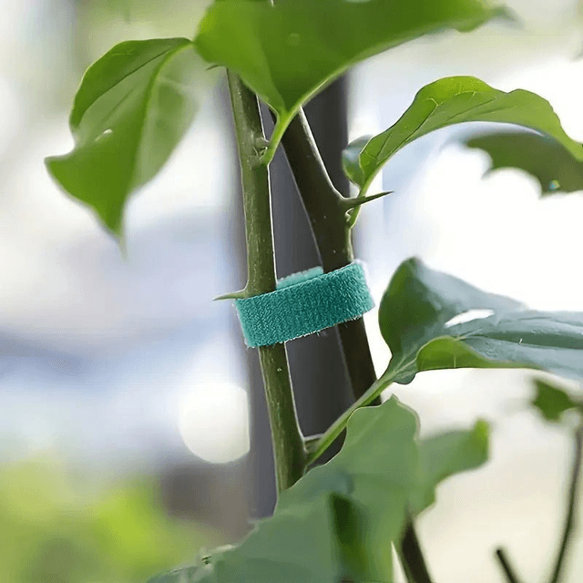 Lot de 6 sangles en nylon durables Attaches de Jardin Réglables et Robustes